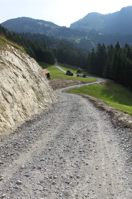 Forstweg Schwimmersboden Fraxern _5__jpg-1377546276