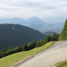 Forstweg Schwimmersboden Fraxern _6__jpg-1377546289