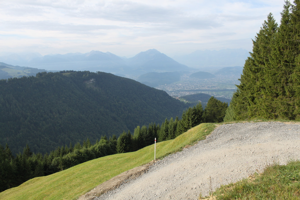 Forstweg Schwimmersboden Fraxern _6__jpg-1377546289