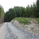 Forstweg Schwimmersboden Fraxern _7__jpg-1377546303