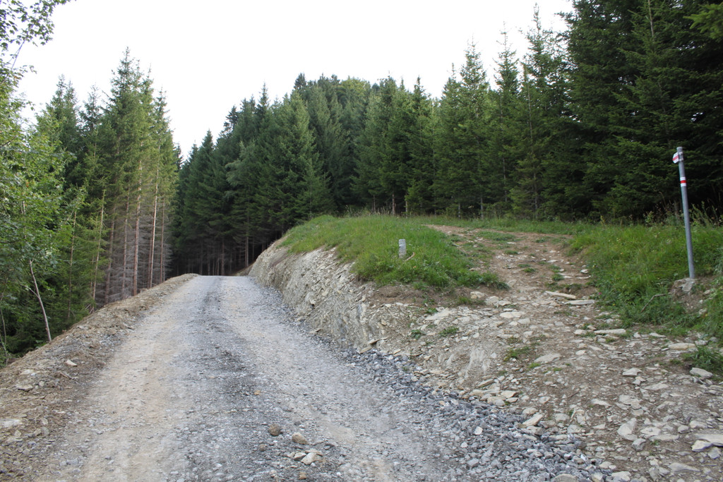 Forstweg Schwimmersboden Fraxern _7__jpg-1377546303