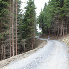 Forstweg Schwimmersboden Fraxern _8__jpg-1377546316