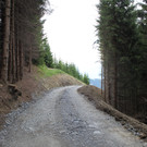 Forstweg Schwimmersboden Fraxern _9__jpg-1377546330