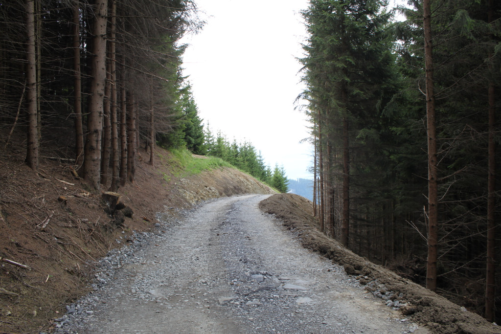Forstweg Schwimmersboden Fraxern _9__jpg-1377546330