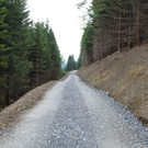 Forstweg Schwimmersboden Fraxern _16__jpg-1377546435