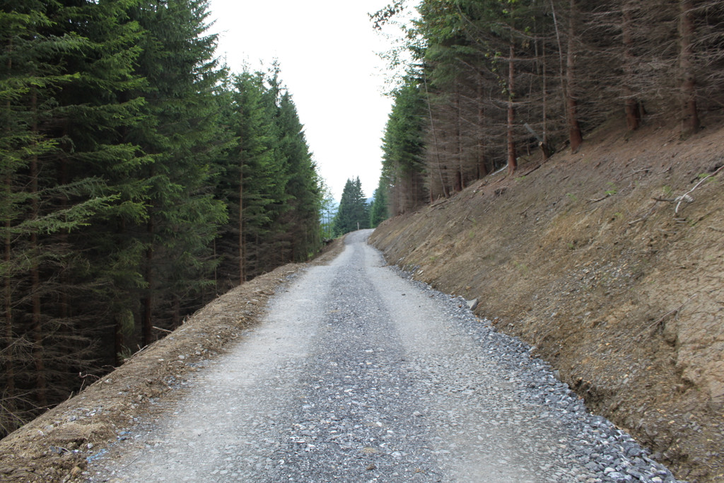 Forstweg Schwimmersboden Fraxern _16__jpg-1377546435