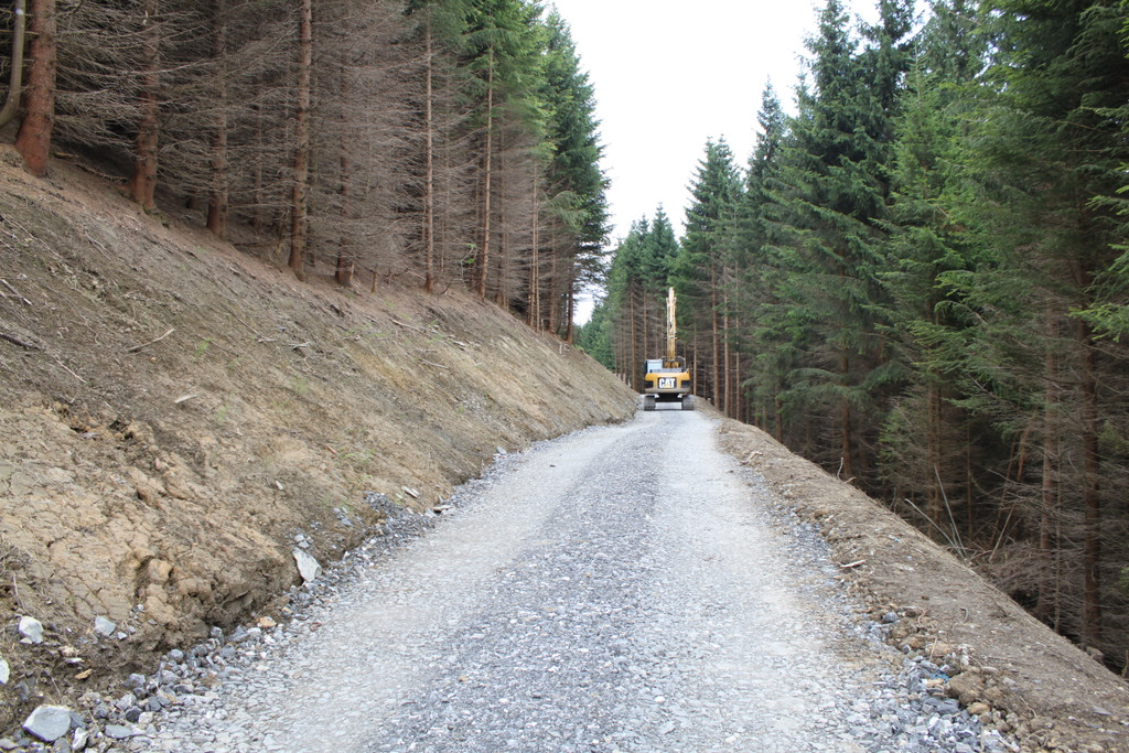 Forstweg Schwimmersboden Fraxern _17__jpg-1377546455