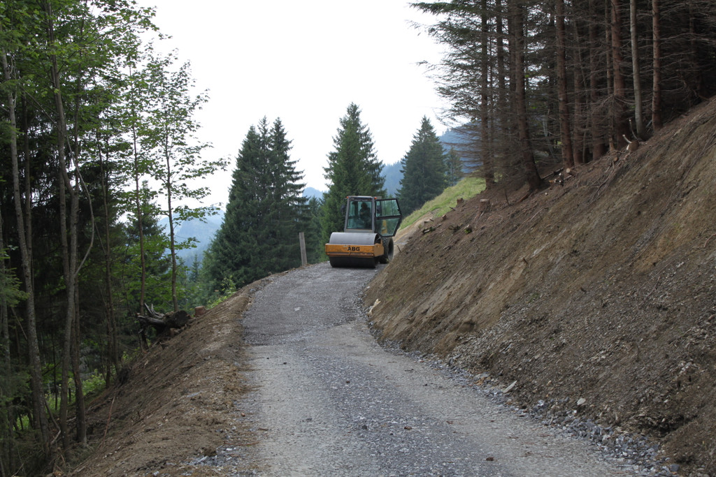 Forstweg Schwimmersboden Fraxern _19__jpg-1377546469