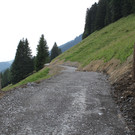 Forstweg Schwimmersboden Fraxern _21__jpg-1377546483