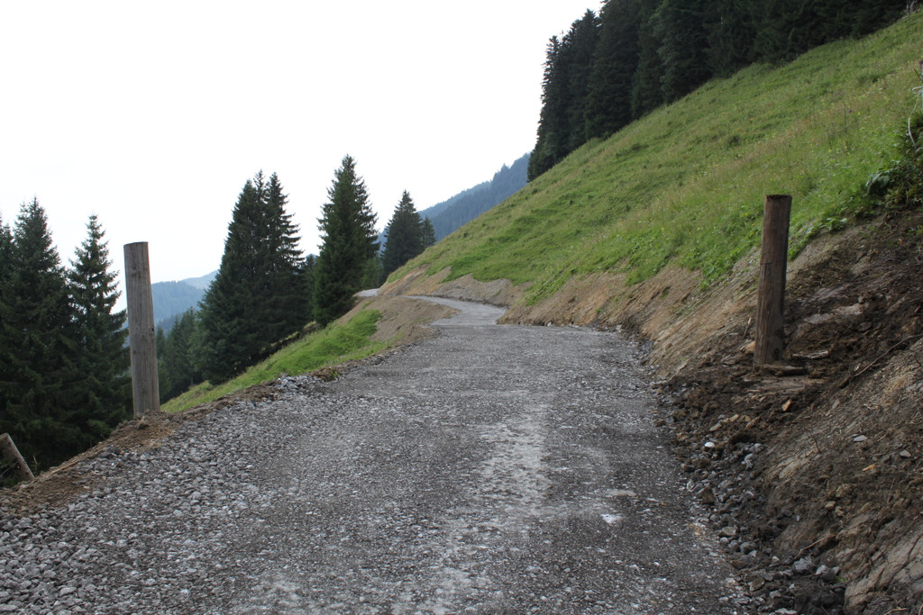 Forstweg Schwimmersboden Fraxern _21__jpg-1377546483