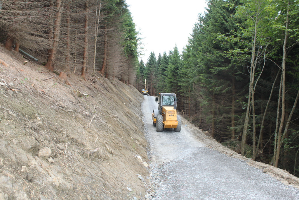 Forstweg Schwimmersboden Fraxern _22__jpg-1377546500