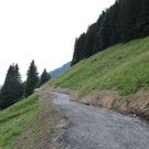 Forstweg Schwimmersboden Fraxern _23__jpg-1377546512
