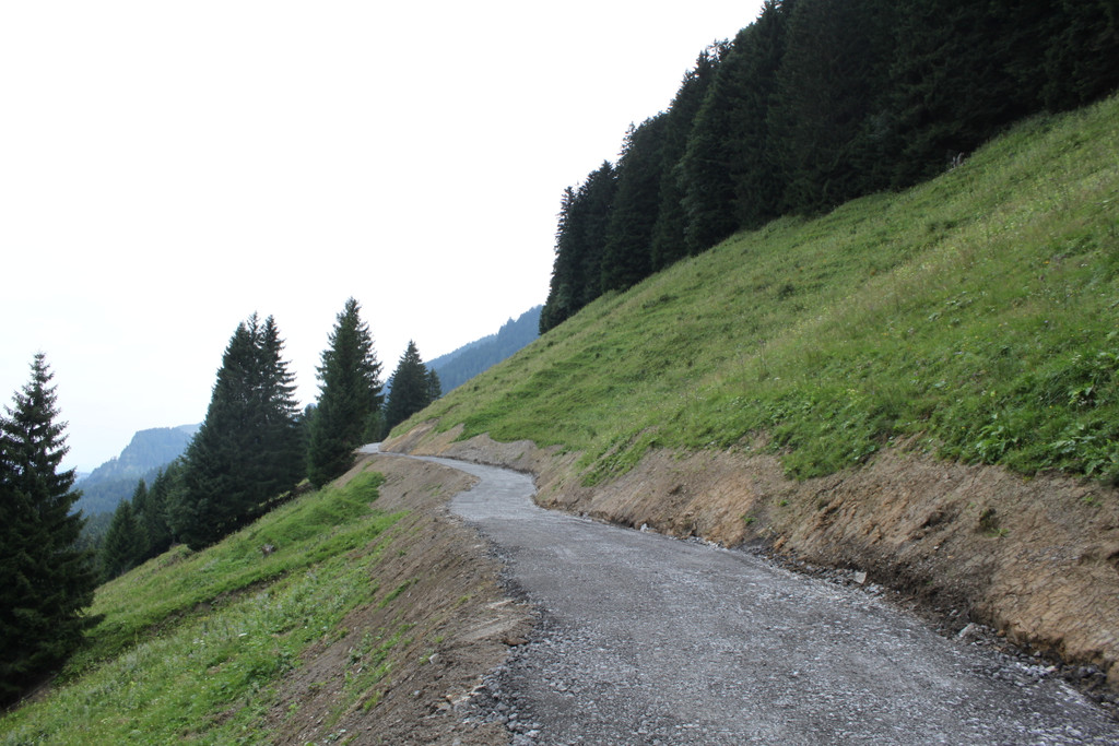 Forstweg Schwimmersboden Fraxern _23__jpg-1377546512