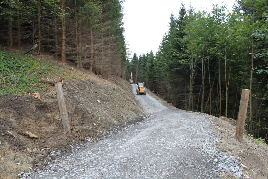 Forstweg Schwimmersboden Fraxern _24__jpg-1377546530