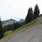 Forstweg Schwimmersboden Fraxern _25__jpg-1377546544