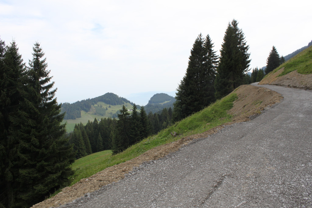 Forstweg Schwimmersboden Fraxern _25__jpg-1377546544