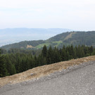 Forstweg Schwimmersboden Fraxern _26__jpg-1377546559