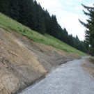 Forstweg Schwimmersboden Fraxern _28__jpg-1377546592