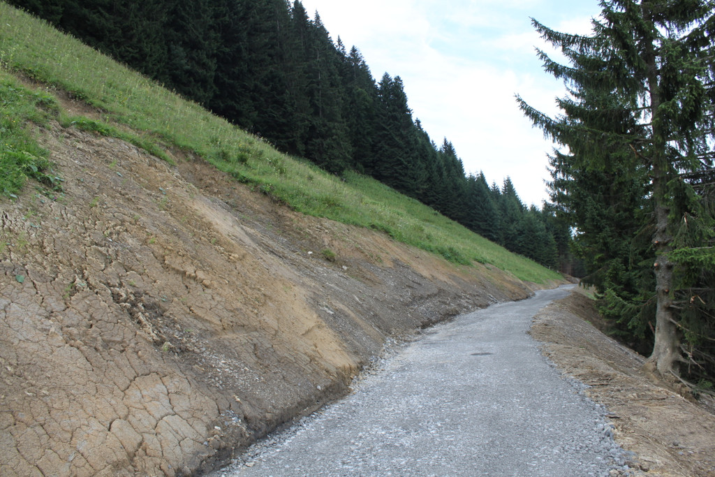 Forstweg Schwimmersboden Fraxern _28__jpg-1377546592