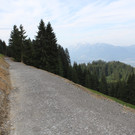Forstweg Schwimmersboden Fraxern _29__jpg-1377546611