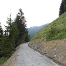 Forstweg Schwimmersboden Fraxern _30__jpg-1377546627