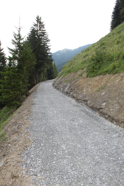 Forstweg Schwimmersboden Fraxern _30__jpg-1377546627