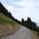 Forstweg Schwimmersboden Fraxern _31__jpg-1377546641