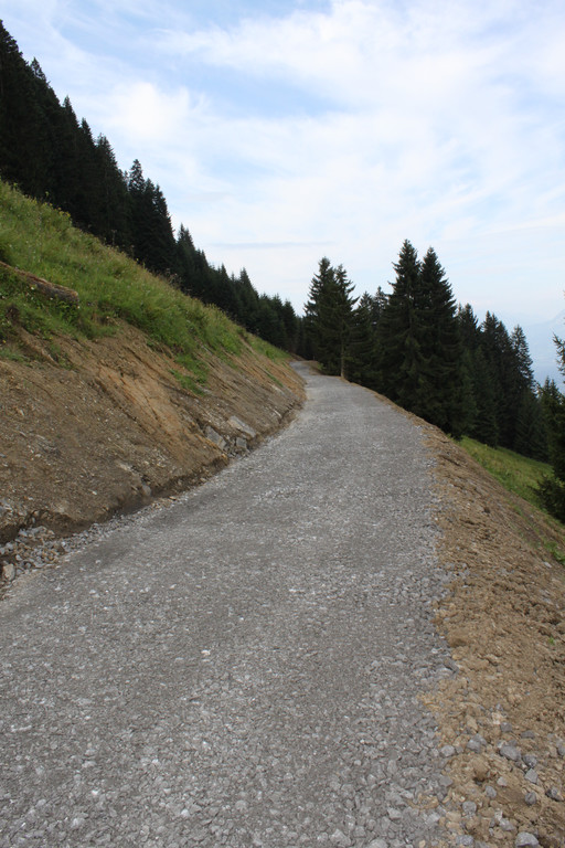 Forstweg Schwimmersboden Fraxern _31__jpg-1377546641