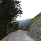 Forstweg Schwimmersboden Fraxern _32__jpg-1377546654