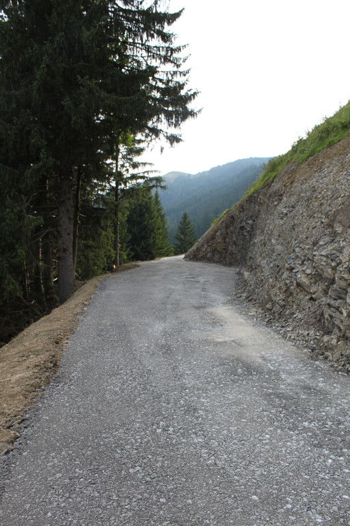 Forstweg Schwimmersboden Fraxern _32__jpg-1377546654
