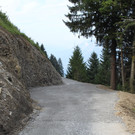 Forstweg Schwimmersboden Fraxern _33__jpg-1377546671