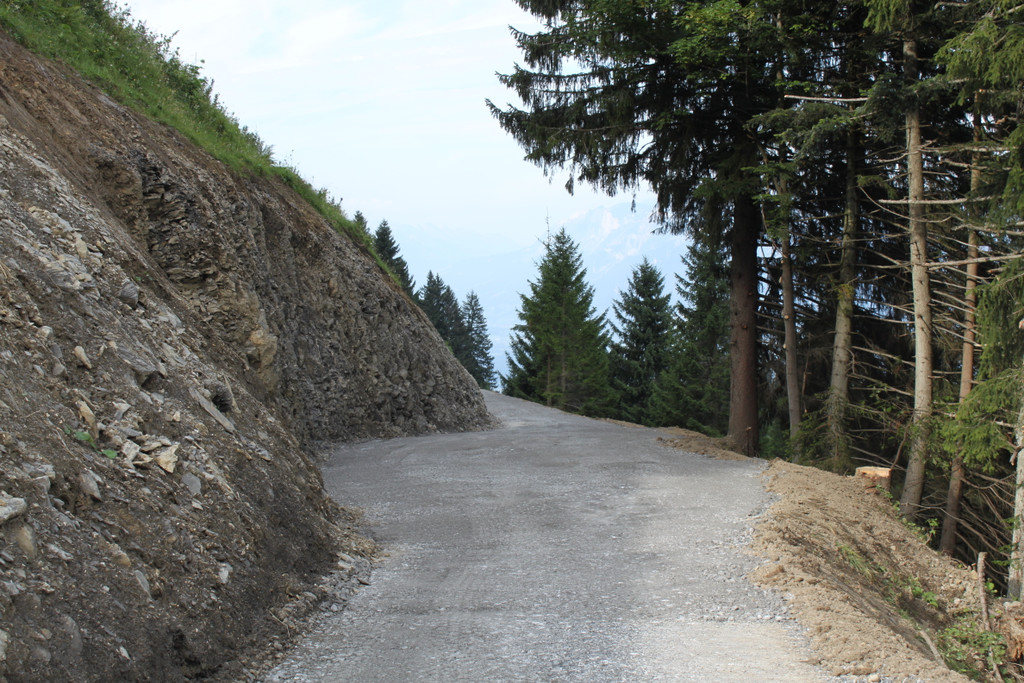 Forstweg Schwimmersboden Fraxern _33__jpg-1377546671
