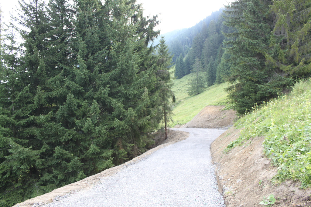 Forstweg Schwimmersboden Fraxern _35__jpg-1377546701