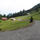 Forstweg Schwimmersboden Fraxern _36__jpg-1377546717