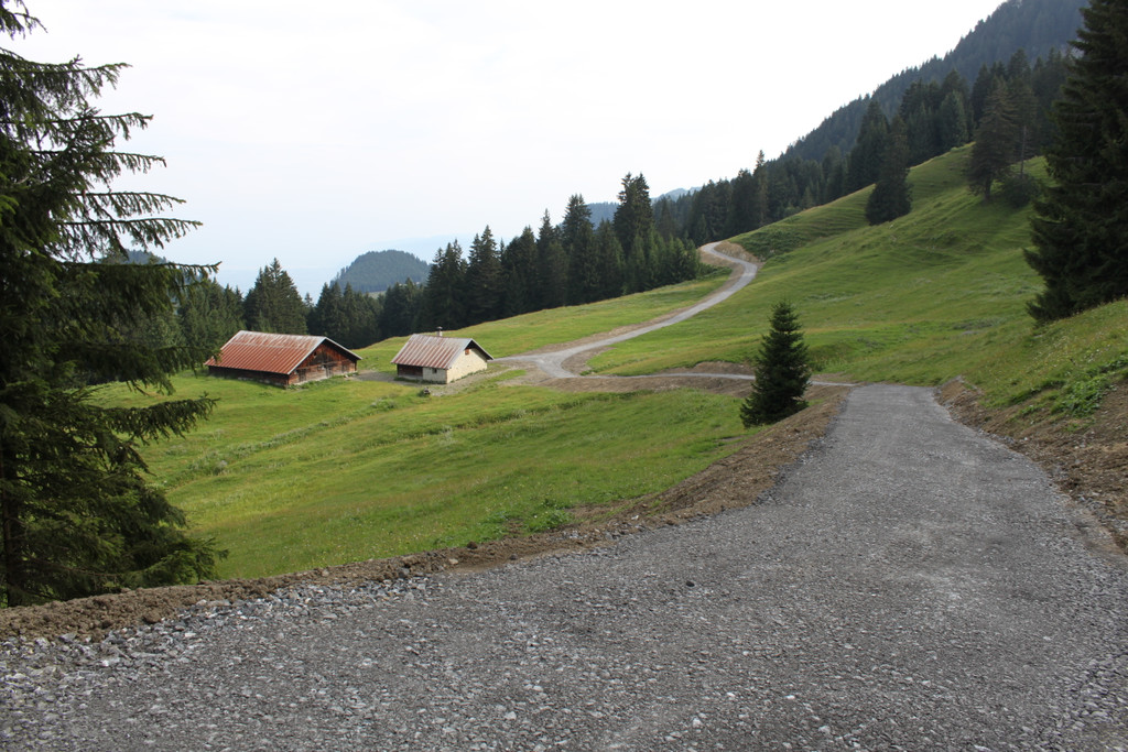 Forstweg Schwimmersboden Fraxern _36__jpg-1377546717