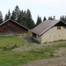 Forstweg Schwimmersboden Fraxern _47__jpg-1377546184