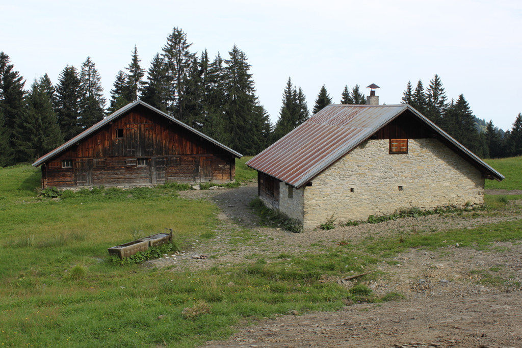 Forstweg Schwimmersboden Fraxern _47__jpg-1377546184