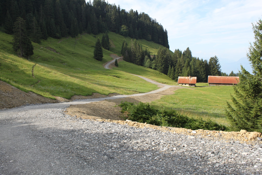 Forstweg Schwimmersboden Fraxern _37__jpg-1377546734