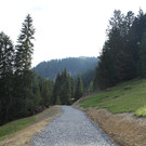 Forstweg Schwimmersboden Fraxern _38__jpg-1377546751