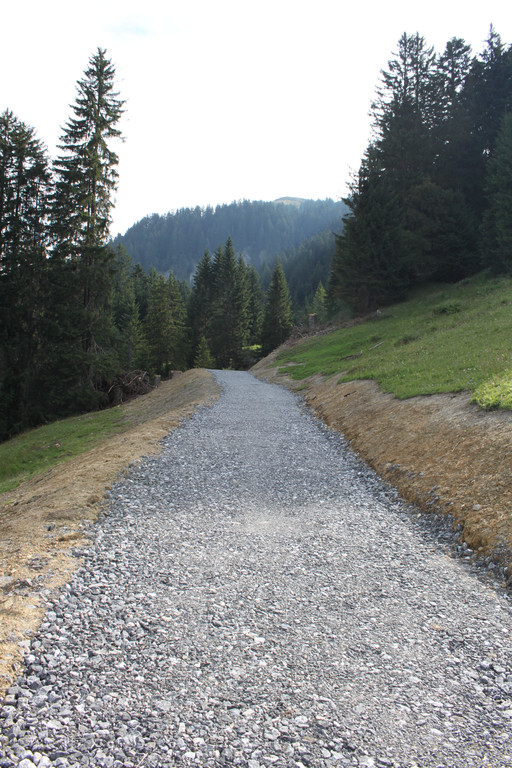 Forstweg Schwimmersboden Fraxern _38__jpg-1377546751