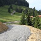 Forstweg Schwimmersboden Fraxern _39__jpg-1377546770