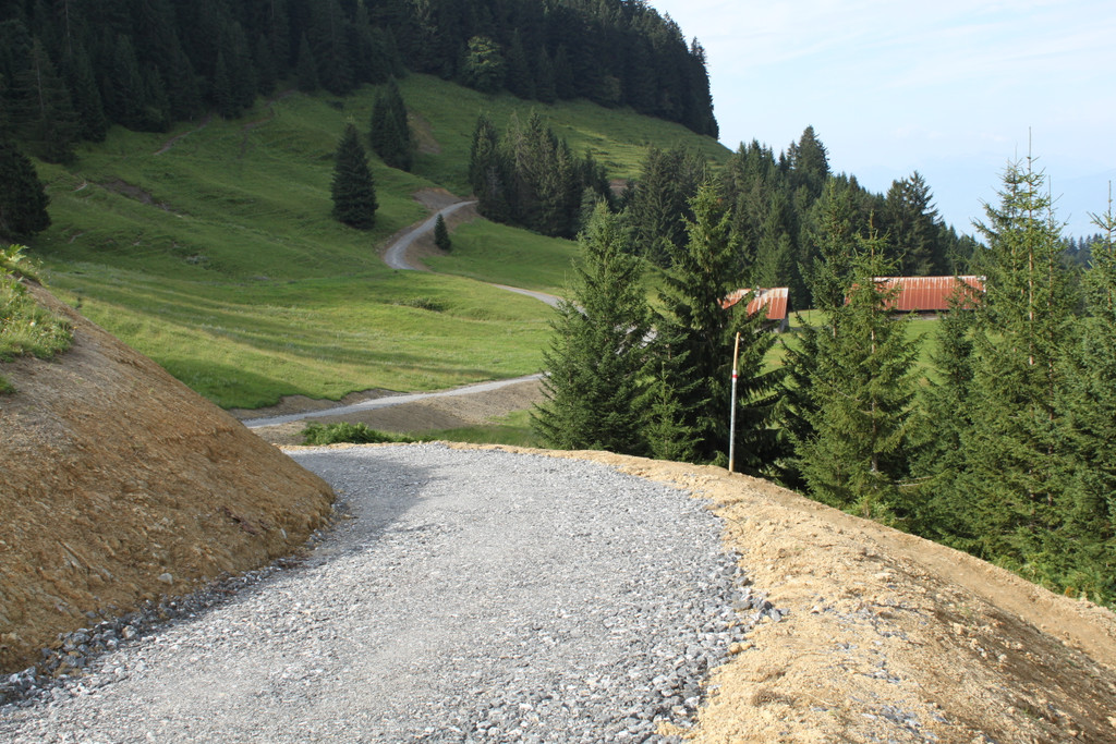 Forstweg Schwimmersboden Fraxern _39__jpg-1377546770