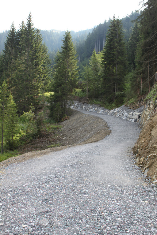 Forstweg Schwimmersboden Fraxern _40__jpg-1377546786