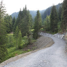 Forstweg Schwimmersboden Fraxern _41__jpg-1377546801