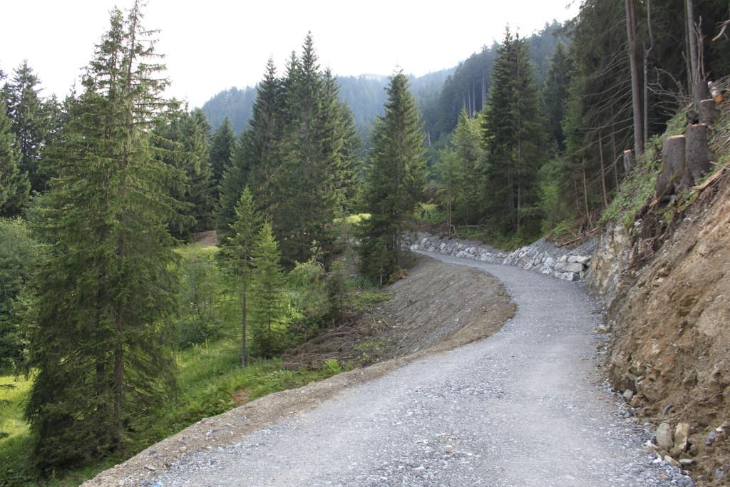 Forstweg Schwimmersboden Fraxern _41__jpg-1377546801