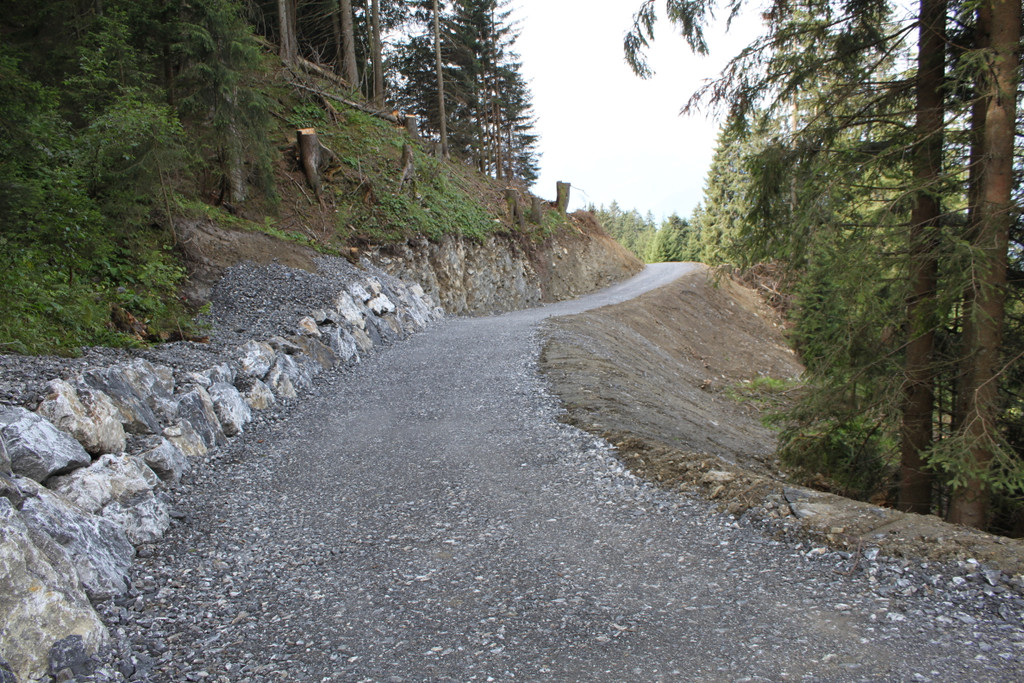 Forstweg Schwimmersboden Fraxern _43__jpg-1377546840
