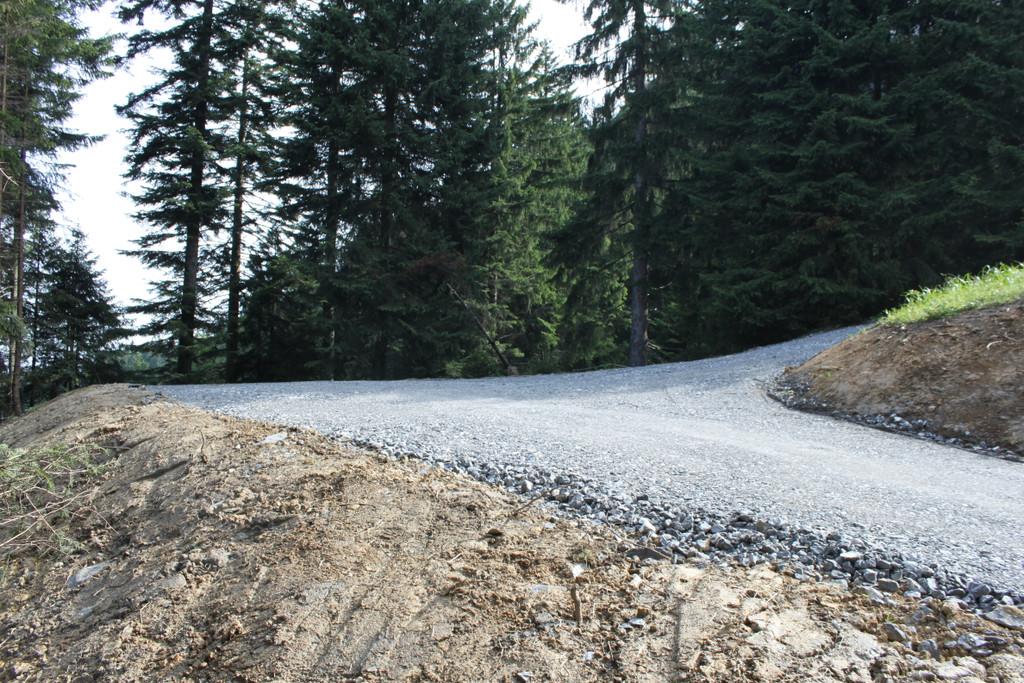Forstweg Schwimmersboden Fraxern _44__jpg-1377546858