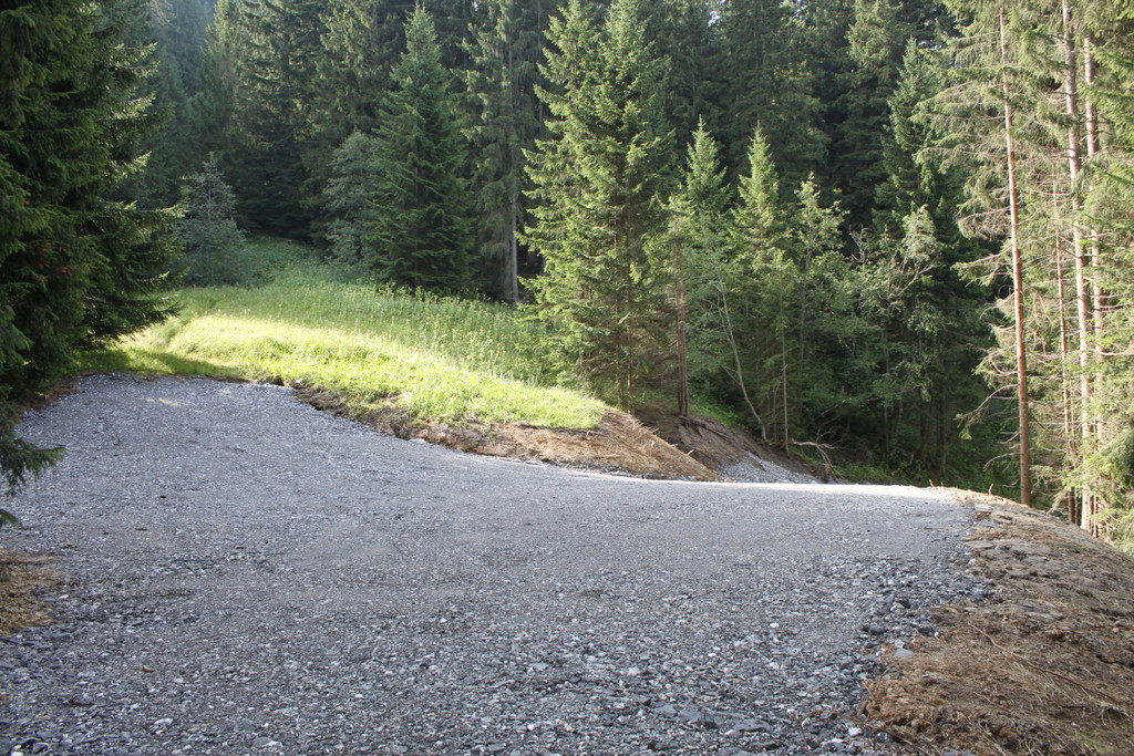 Forstweg Schwimmersboden Fraxern _45__jpg-1377546878