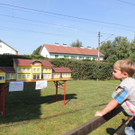 DSCN0704_JPG-1377553750