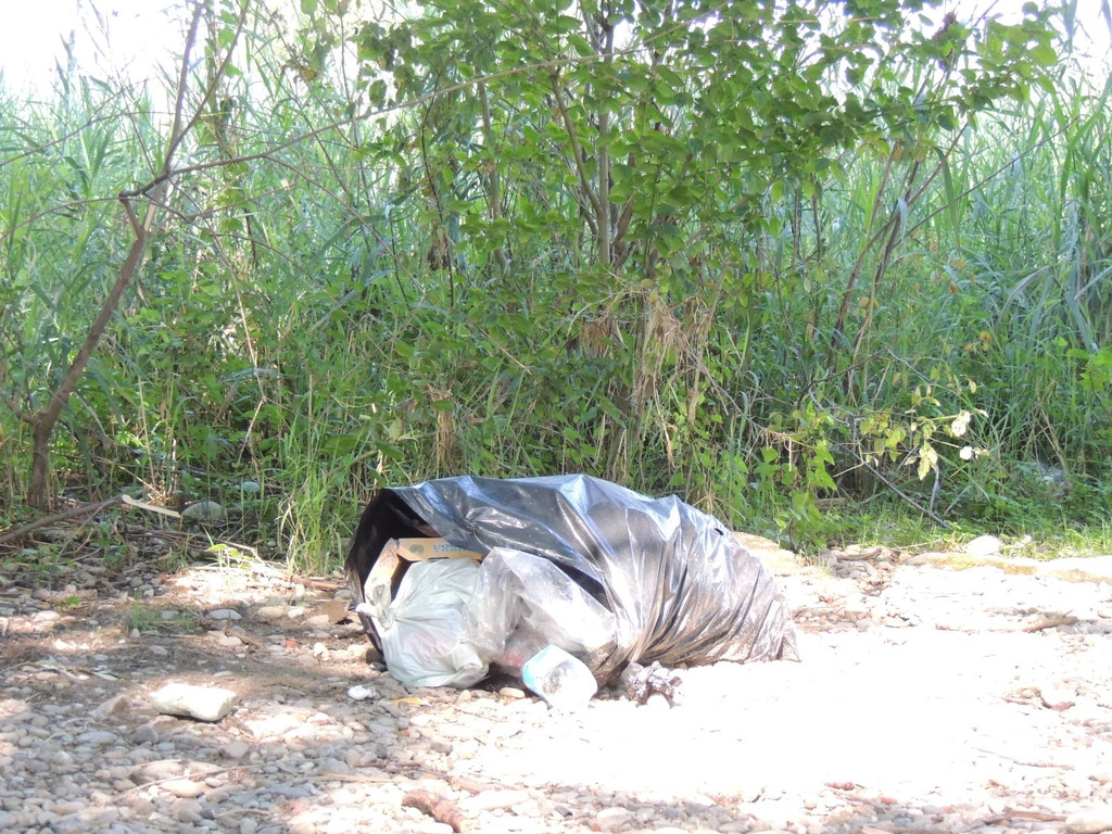 DSCN0389_JPG-1377603154